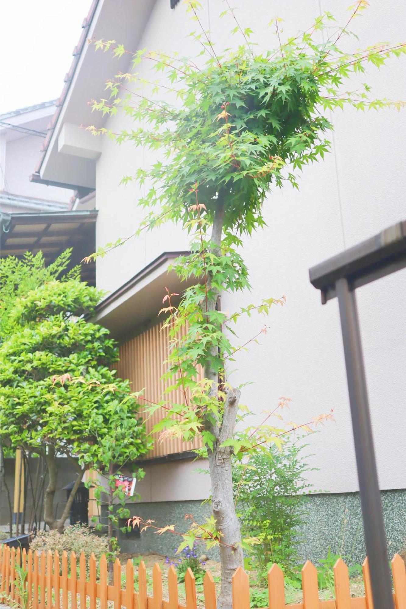 立花荘 Villa Matsuyama  Exterior photo